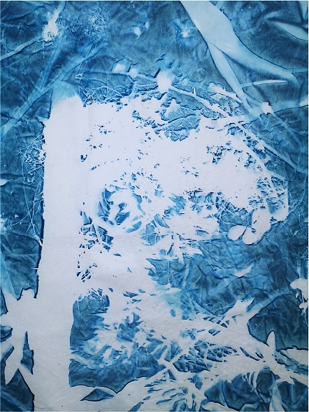 Cyanotype technique